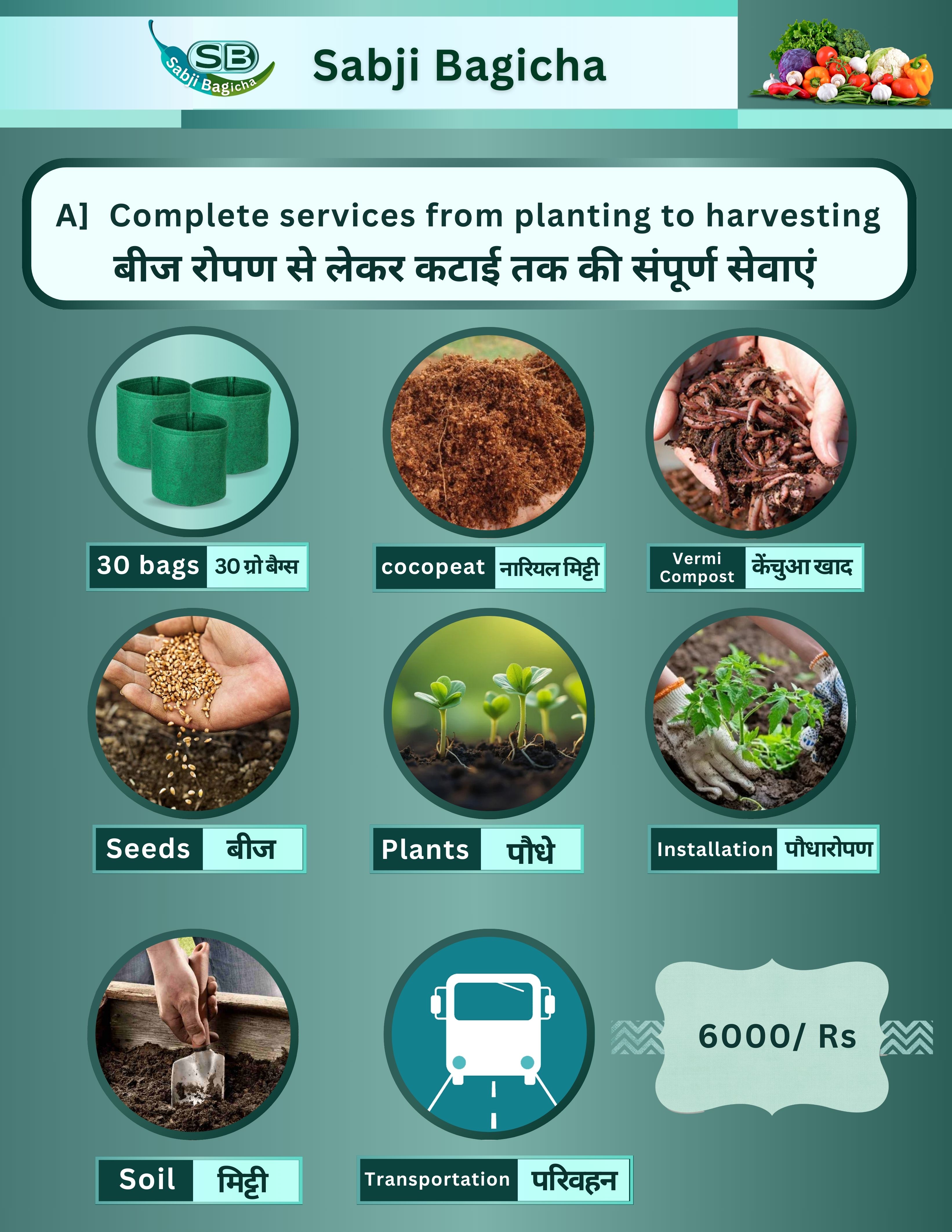 Organic Vegetables Full